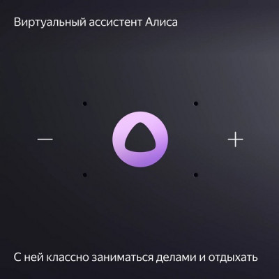 Умная колонка Яндекс Станция Миди с Алисой с Zigbee (YNDX-00054GRY) серый