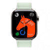 Apple Watch Series 11 Hermes 42 mm Single Tour Vert Peppermint
