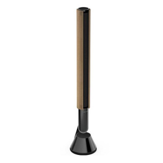 Акустика Bang & Olufsen Beolab 28 Black Anthracite (комплект из 2 колонок)