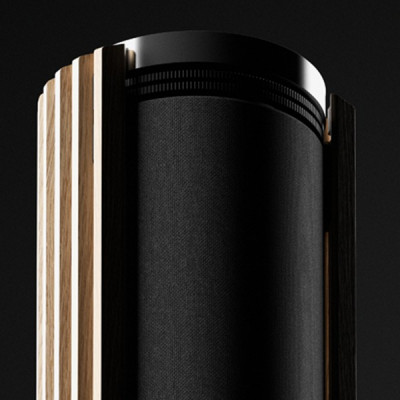 Акустика Bang & Olufsen Beolab 28 Black Anthracite