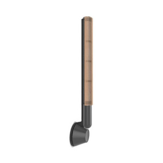 Акустика Bang & Olufsen Beolab 28 Black Anthracite (комплект из 2 колонок)