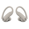 Беспроводные TWS-наушники Beats Powerbeats Pro 2 (Quick Sand)