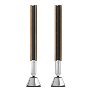 Акустика Bang & Olufsen Beolab 28 Silver (комплект из 2 колонок)