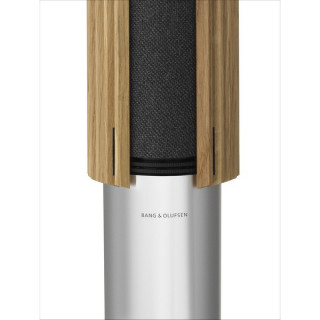 Акустика Bang & Olufsen Beolab 28 Silver (комплект из 2 колонок)