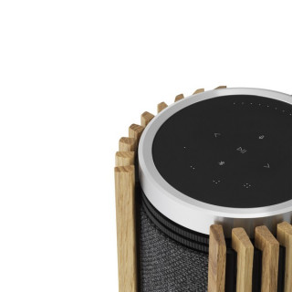 Акустика Bang & Olufsen Beolab 28 Silver (комплект из 2 колонок)