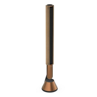 Акустика Bang & Olufsen Beolab 28 Bronze Tone (комплект из 2 колонок)