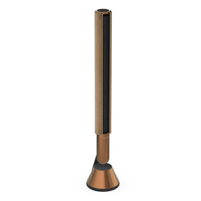 Акустика Bang & Olufsen Beolab 28 Bronze Tone