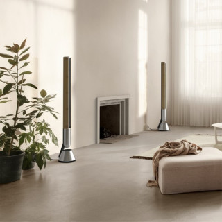 Акустика Bang & Olufsen Beolab 28 Bronze Tone (комплект из 2 колонок)