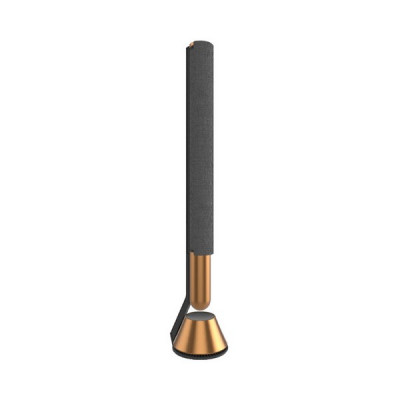 Акустика Bang & Olufsen Beolab 28 Bronze Tone