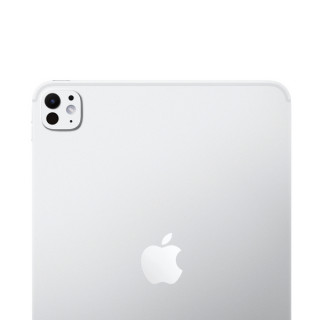 iPad Pro 13" (M5, 2025) Wi-Fi + Cellular 2 ТБ (Silver / Серебристый)