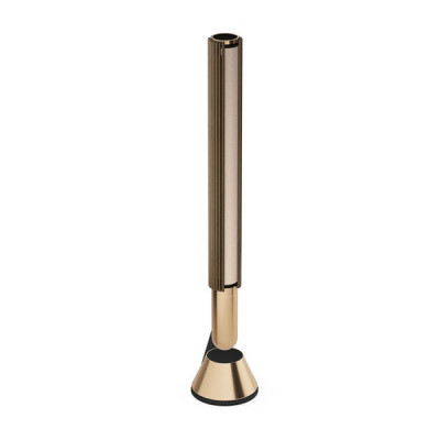 Акустика Bang & Olufsen Beolab 28 Gold Tone