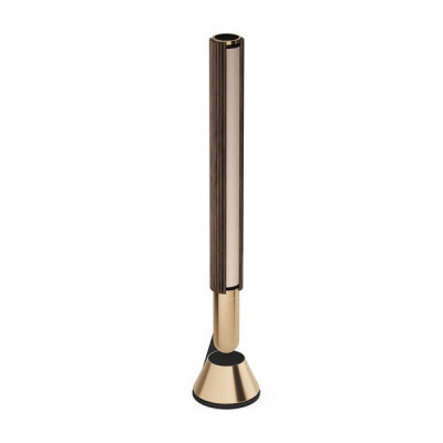 Акустика Bang & Olufsen Beolab 28 Gold Tone