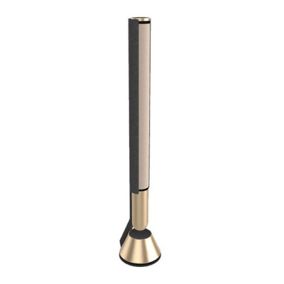 Акустика Bang & Olufsen Beolab 28 Gold Tone