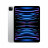 iPad Pro 11" M2 256 GB Wi-Fi + Cellular (Silver / Серебристый)