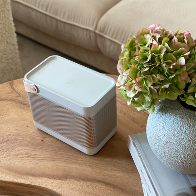 Портативная акустика Bang & Olufsen Beolit 20 Wireless Bluetooth Portable Speaker (Grey Mist)