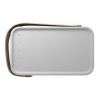 Портативная акустика Bang & Olufsen Beolit 20 Wireless Bluetooth Portable Speaker (Grey Mist)