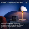 Умная колонка Яндекс Станция Миди с Алисой с Zigbee (YNDX-00054EMD) изумрудный