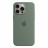 Чехол Apple iPhone 15 Pro Max Silicone Case with MagSafe Cypress