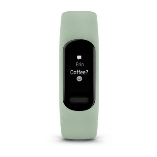 Фитнес-браслет Garmin Vivosmart 5 (010-02645-12) Cool Mint S/M