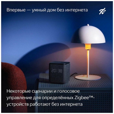 Умная колонка Яндекс Станция Миди с Алисой с Zigbee (YNDX-00054ORG) оранжевый