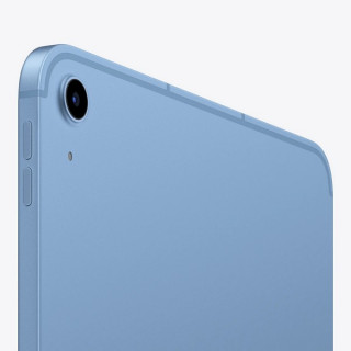 iPad 11" (A16) Wi-Fi + Cellular 256 ГБ (Blue / Синий)