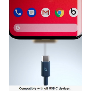 Кабель Beats USB-C - USB-C Woven Cables 1.5 m (2 шт.) (MDGC4) Bolt Black