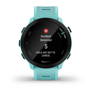 Умные часы Garmin Forerunner 55 аква (010-02562-12)