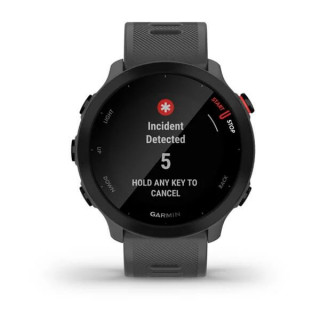 Умные часы Garmin Forerunner 55 серые (010-02562-13)