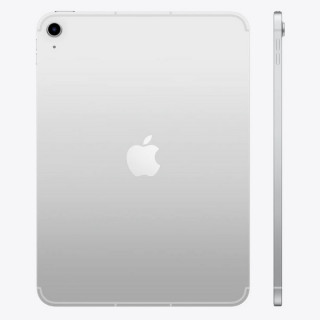 iPad 11" (A16) Wi-Fi + Cellular 256 ГБ (Silver / Серебристый)