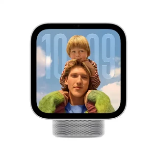 Apple HomeView Silver