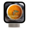 Apple HomeView Starlight