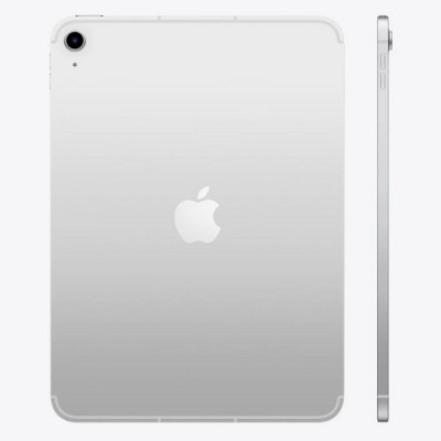 iPad 11" (A16) Wi-Fi + Cellular 512 ГБ (Silver / Серебристый)