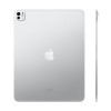 iPad Pro 11" (M5, 2025) Wi-Fi + Cellular 2 ТБ (Silver / Серебристый)