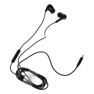 Проводные наушники Xiaomi Type-C Earphones (BHR8930GL) черный
