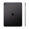 iPad Pro 11" (M5, 2025) Wi-Fi + Cellular 256 ГБ (Space Black / Черный космос)