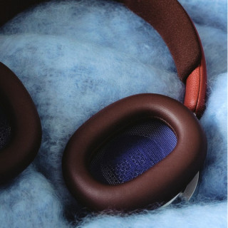Беспроводные наушники Bang & Olufsen Beoplay H100 Centennial Edition (Century Brown)