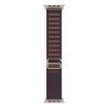 Ремешок Apple Alpine Loop 49 мм Indigo / Natural Titanium Finish