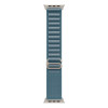 Ремешок Apple Alpine Loop 49 мм Light Blue / Natural Titanium Finish