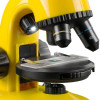 Микроскоп Bresser National Geographic 40x-800x с держателем для смартфона (9039500)