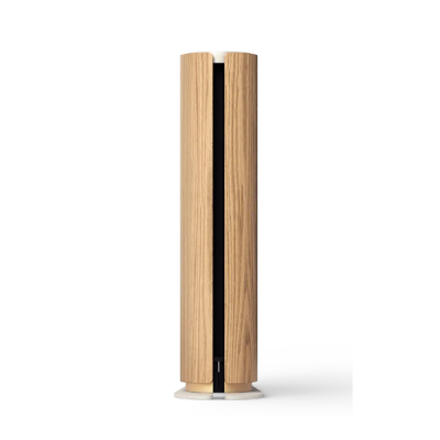 Беспроводная акустика Bang & Olufsen Beosound Emerge Gold Tone