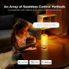 Светодиодная настольная лампа Govee RGBICWW Smart Table Lamp 2S (H8022CD1)
