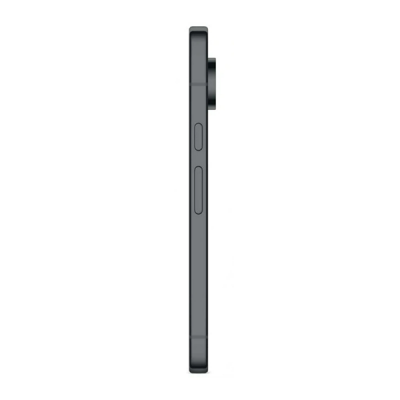 Смартфон Google Pixel 10 Pro 512GB (Черный/Obsidian)