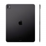 iPad Pro (M4, 2024) 13" Wi-Fi + Cellular 2 ТБ нанотекстурное стекло (Space Black / Черный космос)