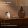 Умная колонка Яндекс Станция Макс с Zigbee (YNDX-00053E) бежевый