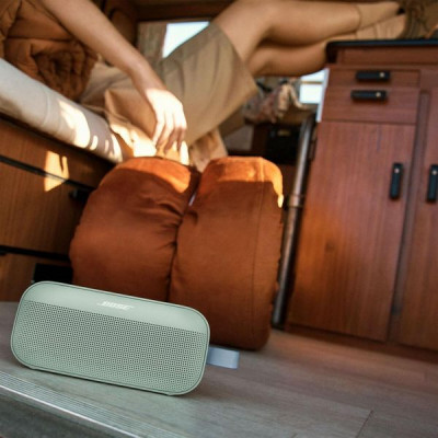 Портативная колонка Bose SoundLink Flex 2nd Gen (887612-0400) Alpine Sage