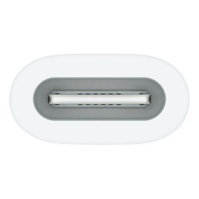 Адаптер-переходник Apple USB-C для Apple Pencil (MQLU3) White
