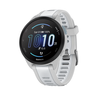 Умные часы Garmin Forerunner 165 GPS, WiFi, Mist Grey 010-02863-31