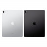 iPad Pro (M4, 2024) 13" Wi-Fi 2 ТБ (Space Black / Черный космос)