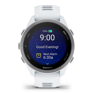 Умные часы Garmin Forerunner 170 Whitestone with Whitestone/Cloud Blue Band (010-03920-01)