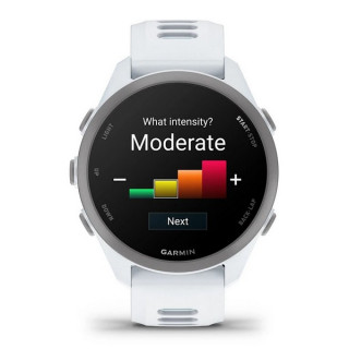 Умные часы Garmin Forerunner 170 Whitestone with Whitestone/Cloud Blue Band (010-03920-01)
